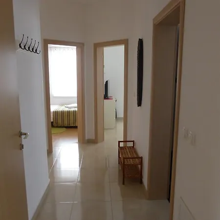 Toni, Borik Zadar