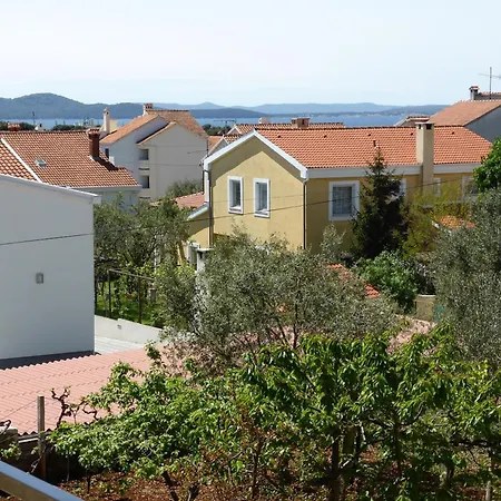 Toni, Borik Zadar