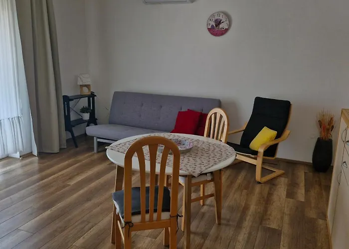 Toni, Borik Διαμέρισμα *